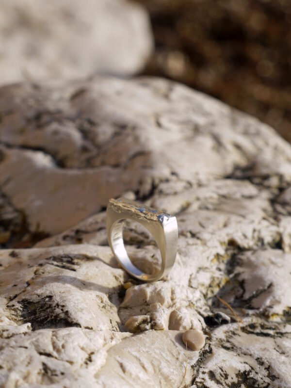 Chevalière Marée Argent