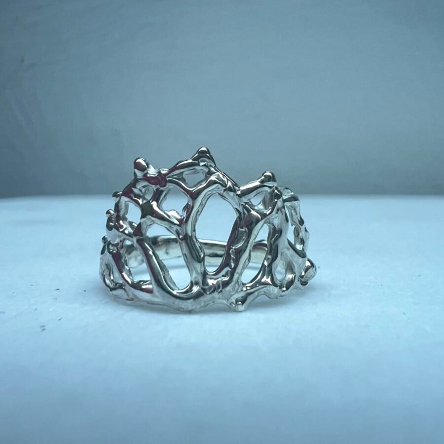 IMG_1773 Bague Aphros
