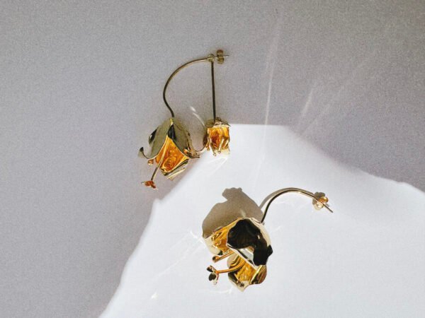 Boucles Bougainvilliers